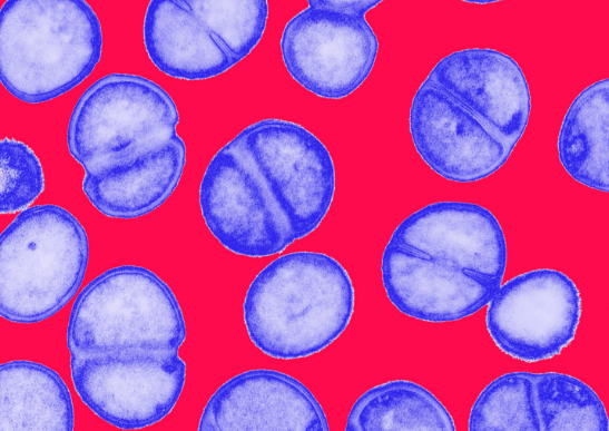 量少價(jià)低：抗生素行業(yè)將面臨重大危機(jī)