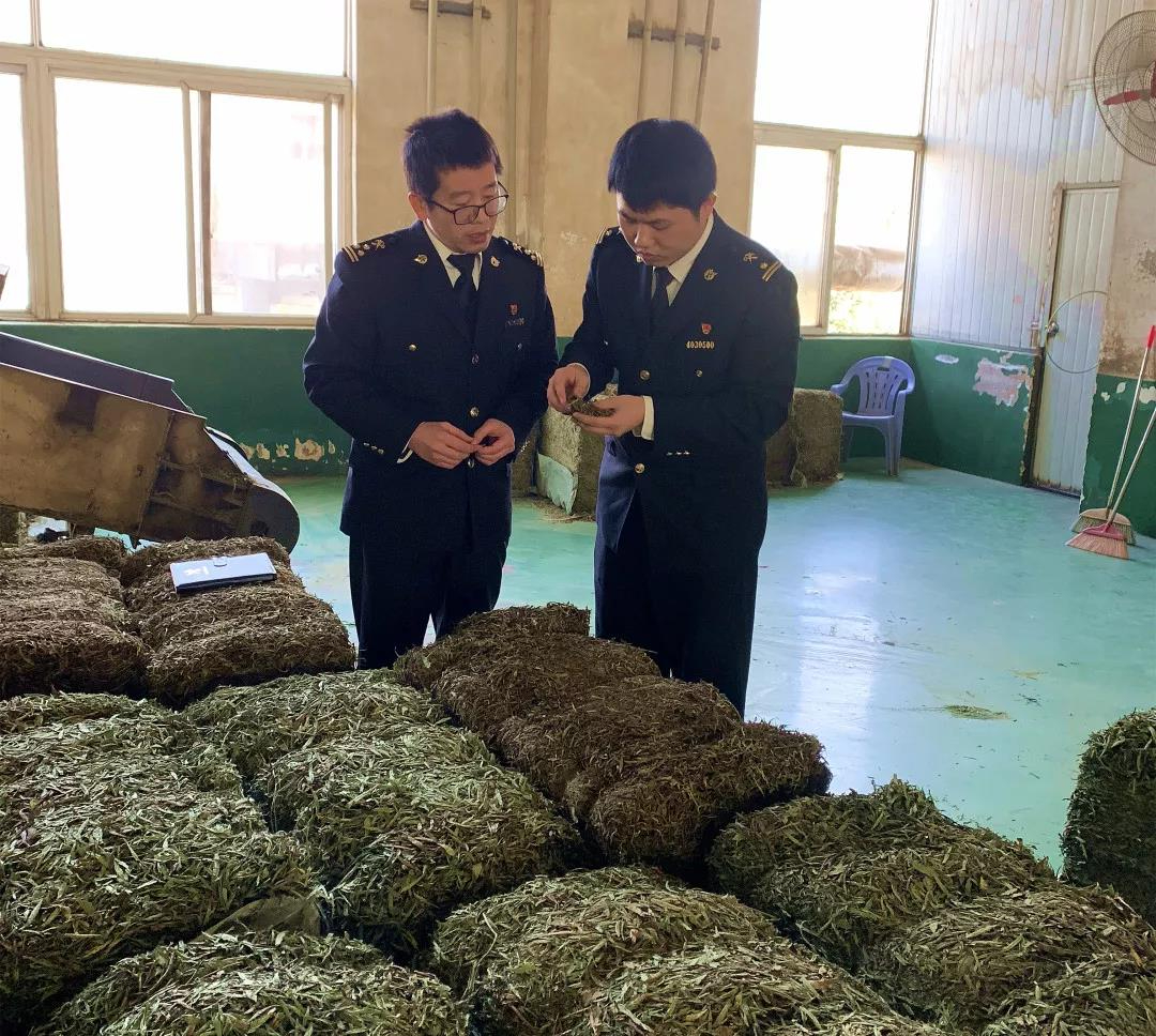 穩(wěn)外貿在身邊 | 政策落到實處，百姓甜到心里