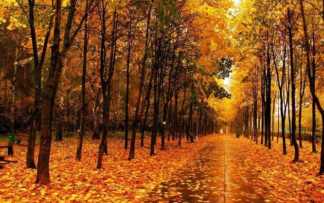 給外貿(mào)人的一些建議